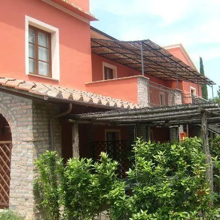 Collinella *