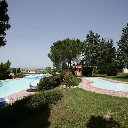 Collinella